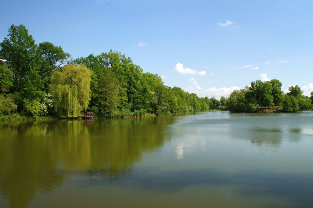 Der Große Teich Kurpark Bad Nauheim mit Insel